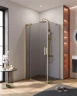 Душевой уголок Cezares Slider 80x100 SLIDER-AH-1-100-70/80-GRIGIO-BORO профиль цвет Брашированное золото стекло серое