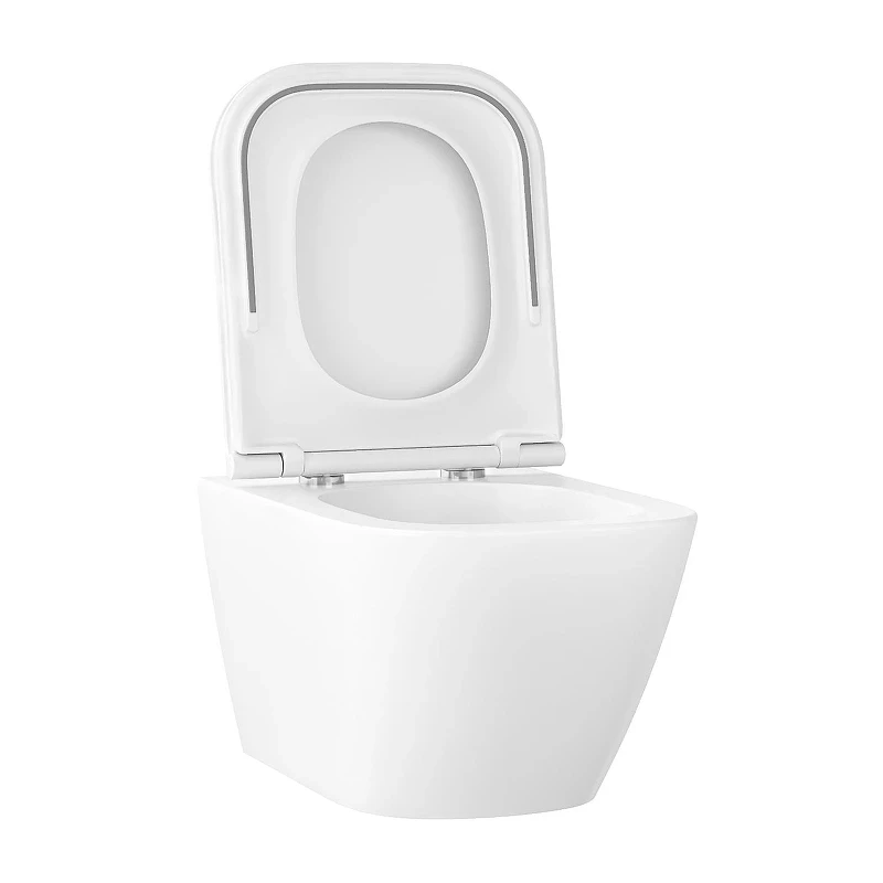 Унитаз Wellsee Pure BY Wellsee 182602001 подвесной цвет Белый глянцевый с сиденьем Микролифт