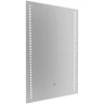 Зеркало WeltWasser Elta 50x70 с подсветкой 10000000990 Хром стекло