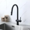 Смеситель для кухни Frap F60807-6 цвет Черный матовый