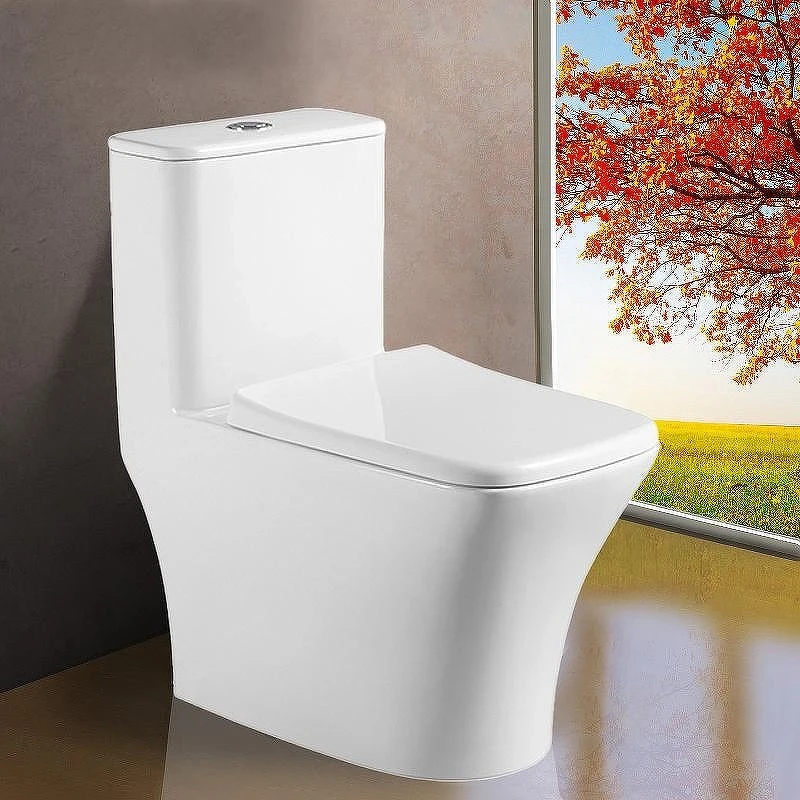 Унитаз моноблок Azario Teano AZ-8621 с сиденьем Микролифт