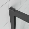 Душевая дверь Veconi Ottimo 120 OP20B-120-07-C9 профиль Черный матовый стекло матовое