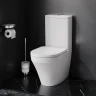 Унитаз компакт AM.PM Inspire CK50C1704W с гигиеническим душем и ершиком с бачком и сиденьем Микролифт фарфор напольный