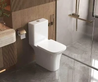Унитаз-компакт AQUAme AQM1009PRO цвет Белый без бачка с сиденьем Микролифт