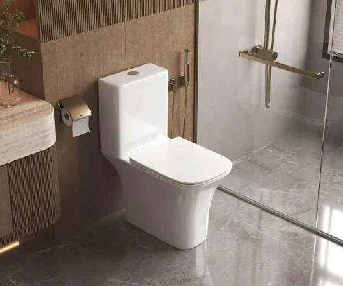 Унитаз-компакт AQUAme AQM1009PRO цвет Белый без бачка с сиденьем Микролифт