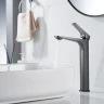 Смеситель для раковины Shevanik S4211T цвет Оружейная сталь