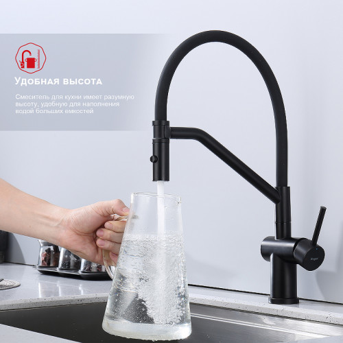 Смеситель для кухни Raglo R86.41.06 Черный матовый латунь