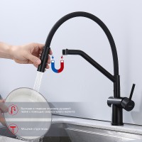 Смеситель для кухни Raglo R86.41.06 Черный матовый латунь