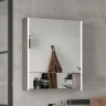Зеркальный шкаф Equil Smile 70 szSMILE70 с подсветкой цвет Лен анрацит