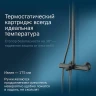 Душевая система AM.PM Like F0780522 с термостатом Черная матовая нержавеющая сталь на стену