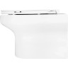 Комплект унитаза Jacob Delafon Elite EDX114RU-00 с инсталляцией Grohe Rapid SL 38721001 с сиденьем Микролифт и клавишей смыва Хром фарфор подвесной