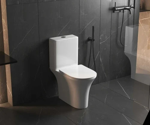 Унитаз-компакт AQUAme AQM1010PRO цвет Белый без бачка с сиденьем Микролифт