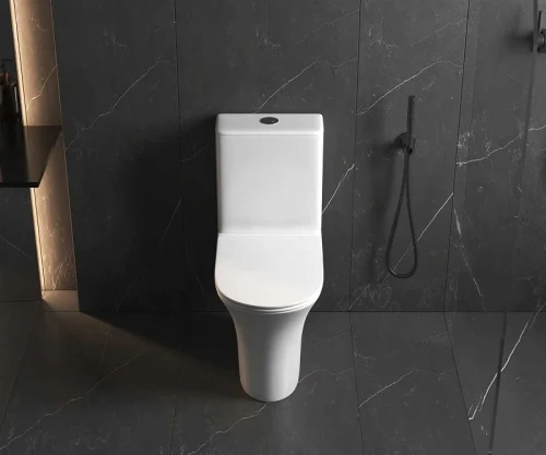 Унитаз-компакт AQUAme AQM1010PRO цвет Белый без бачка с сиденьем Микролифт
