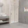 Душевая дверь RGW Passage PA-016 150 350801615-11 профиль Хром стекло прозрачное