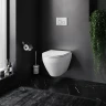 Комплект унитаза с инсталляцией AM.PM Spirit V2.0 FlashClean IS47031.701700 с сиденьем Микролифт и клавишей смыва Никель матовый фарфор подвесной
