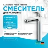 Смеситель для раковины Hansgrohe Focus 31531000 Хром латунь