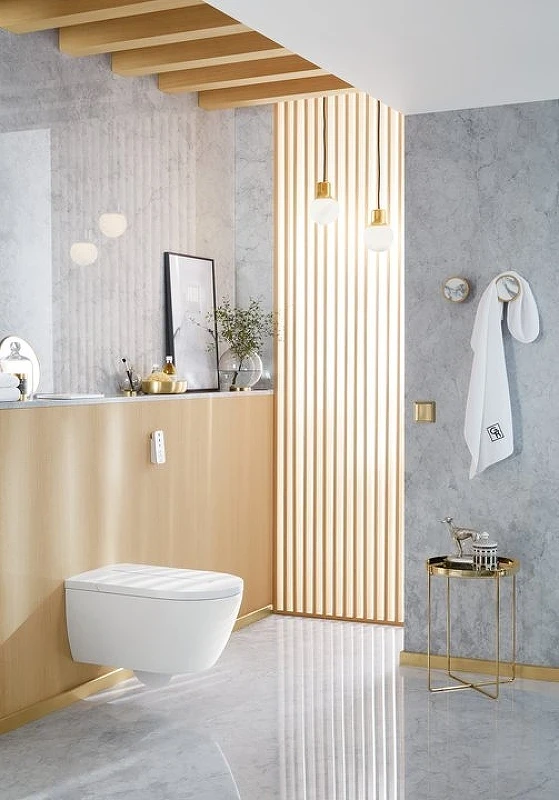 Унитаз биде Villeroy&Boch ViClean-L V0E100R1 подвесной с сиденьем Микролифт