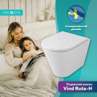 Унитаз Owl 1975 Vind Ruta-H TOWLT190304 подвесной с сиденьем Микролифт фарфор подвесной