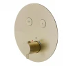 Смеситель для душа Newform X-Steel 316 70426EX.59.098 с термостатом цвет Pale Gold