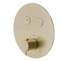 Смеситель для душа Newform X-Steel 316 70426EX.59.098 с термостатом цвет Pale Gold