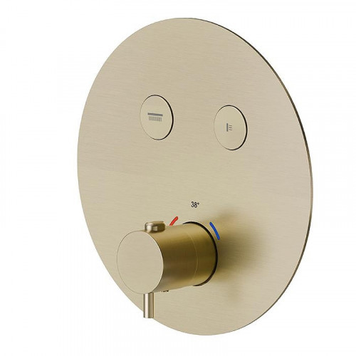 Смеситель для душа Newform X-Steel 316 70426EX.59.098 с термостатом цвет Pale Gold