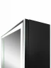 Зеркальный шкаф Art&Max Techno AM-Tec-1000-800-2D-F-Nero с подсветкой с бесконтактным выключателем Черный МДФ / ЛДСП, стекло