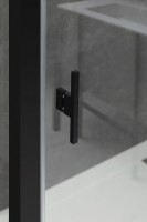 Душевая дверь Allen Brau Priority 100 3.31006.BBA профиль Черный брашированный стекло прозрачное