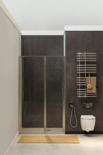 Душевая дверь Allen Brau Priority 120 3.31032.BA профиль Серебро браш стекло прозрачное