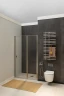 Душевая дверь Allen Brau Priority 120 3.31032.BA профиль Серебро браш стекло прозрачное