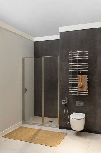 Душевая дверь Allen Brau Priority 120 3.31032.BA профиль Серебро браш стекло прозрачное