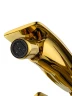 Смеситель для биде Wonzon & Woghand Shakespeare WW-655001-DG цвет Темное золото