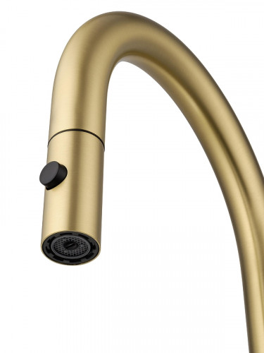 Смеситель для кухни Wonzon & Woghand WW-A21252-BG цвет Брашированное золото