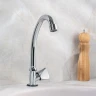 Кран для одного типа воды Ростовская Мануфактура Сантехники SL119-270F Хром