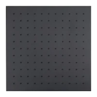 Верхний душ Splendy Feeling S FS212X300S1BM цвет Черный матовый
