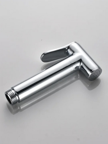 Гигиенический душ со смесителем ALMAes Agata AL-877-01 Хром латунь на стену