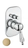 Смеситель для душа Fiore Imperial Sky 82ZZ5134 цвет Бронза